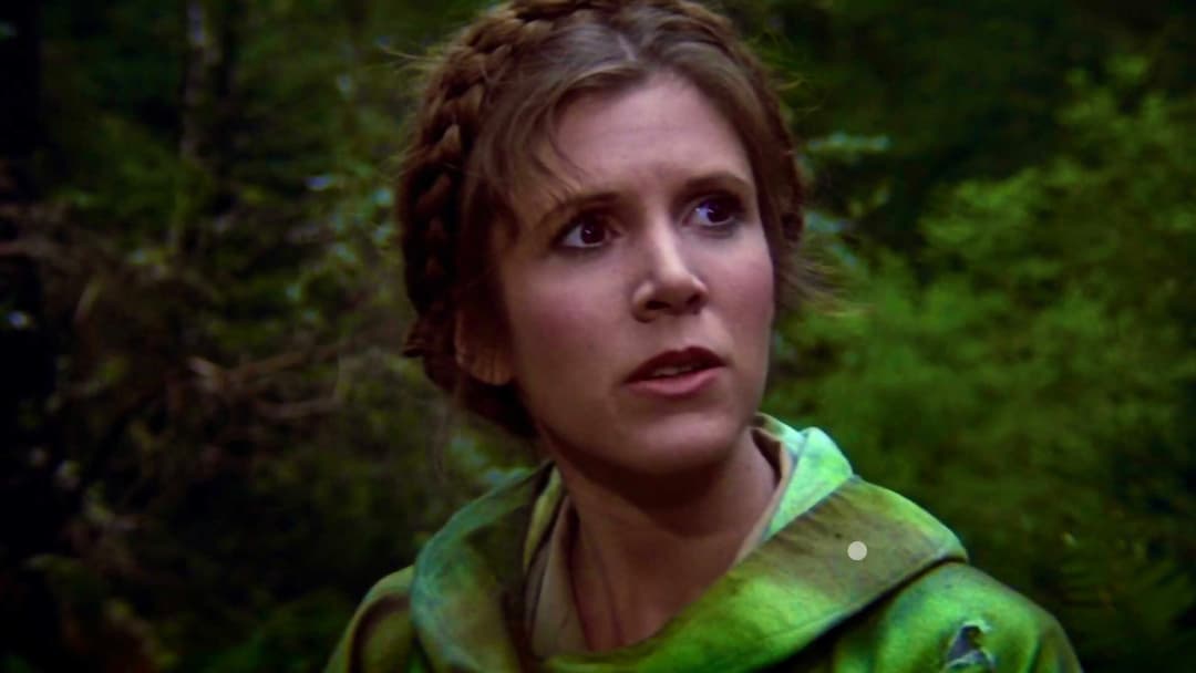 The Princess Leia Parent Plot Hole Finally Explained